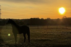 IMG_1337